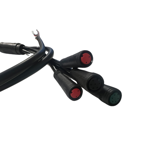 Arnés de cables principal Evolv Terra