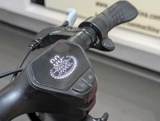 EVOLV Stride (Floor Model)