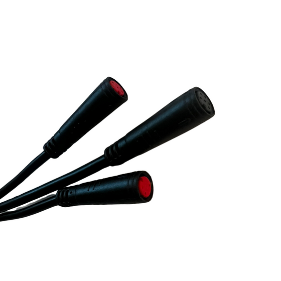 Arnés de cables principal Evolv Terra