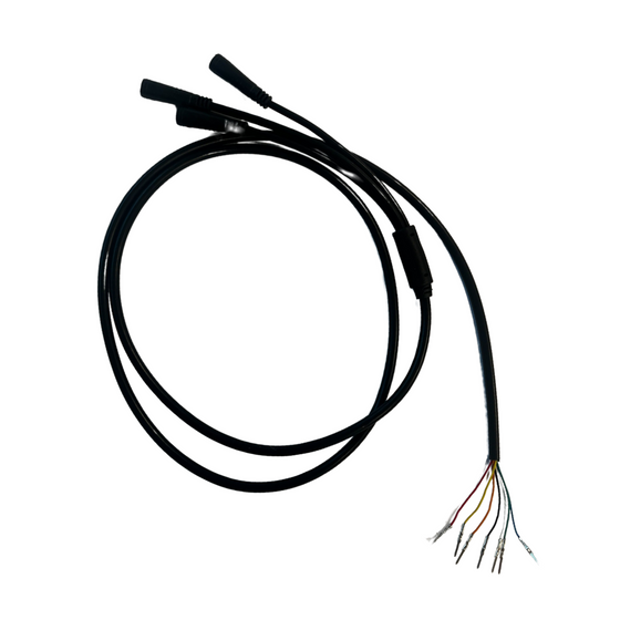 Arnés de cables principal Evolv Terra