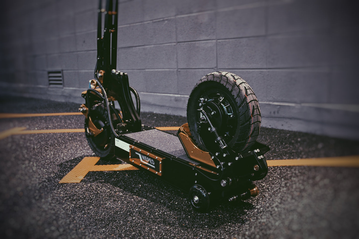 WEPED Fold