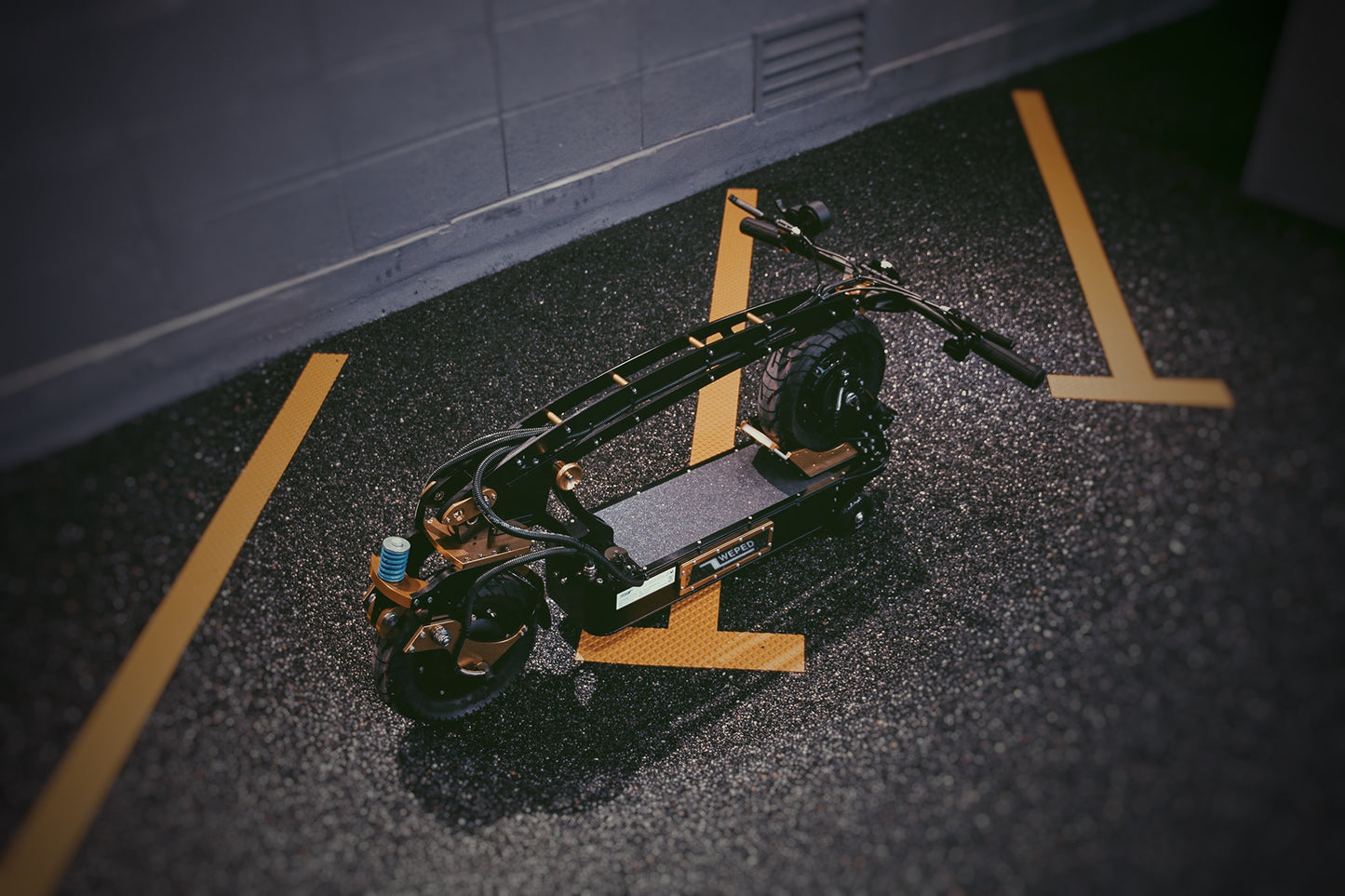 WEPED Fold