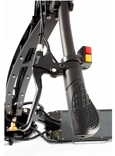 WEPED Fold
