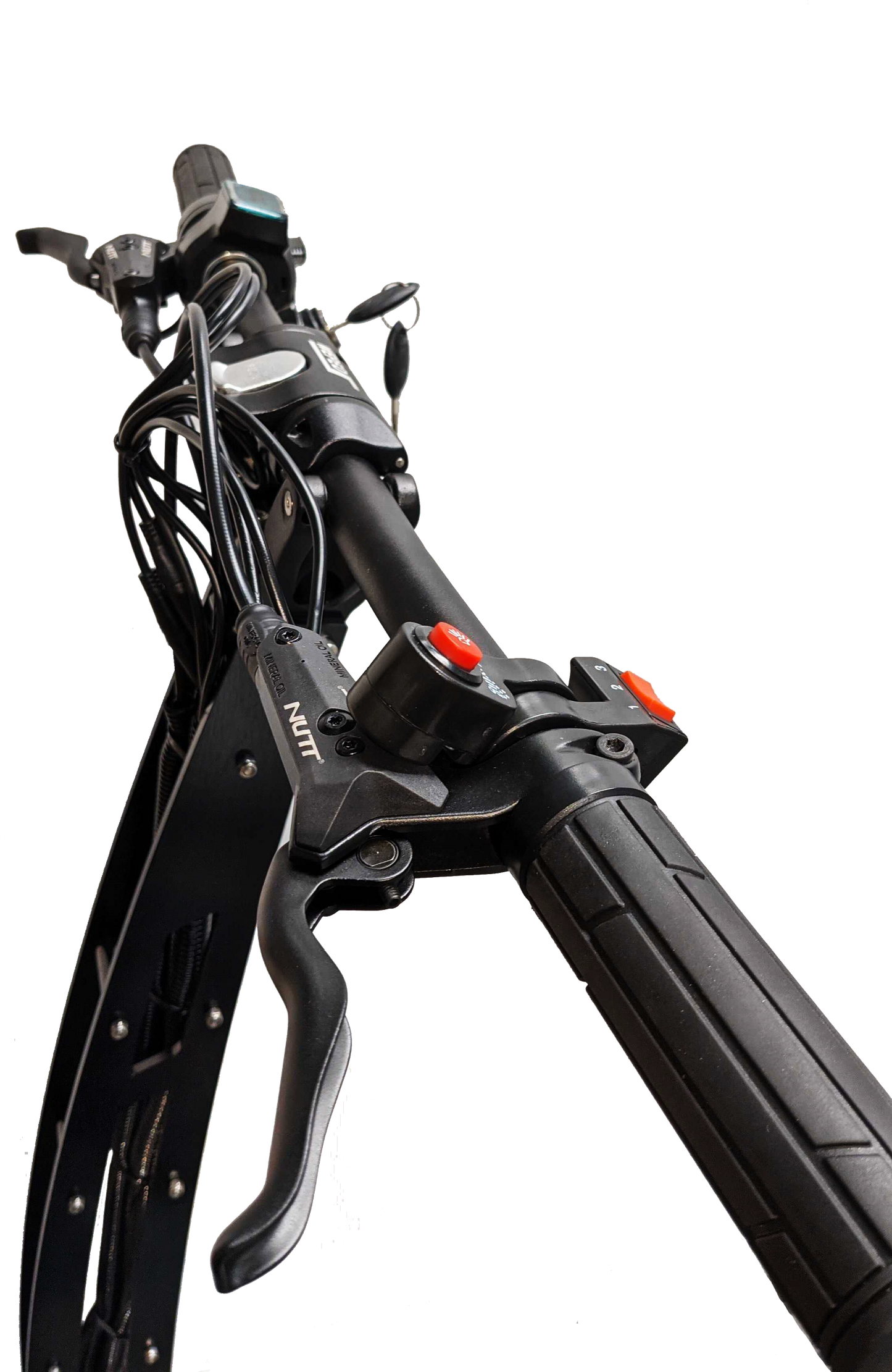 WEPED FF